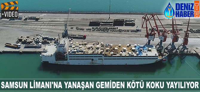 Samsun Limanı'na yanaşan gemiden kötü koku yayılıyor