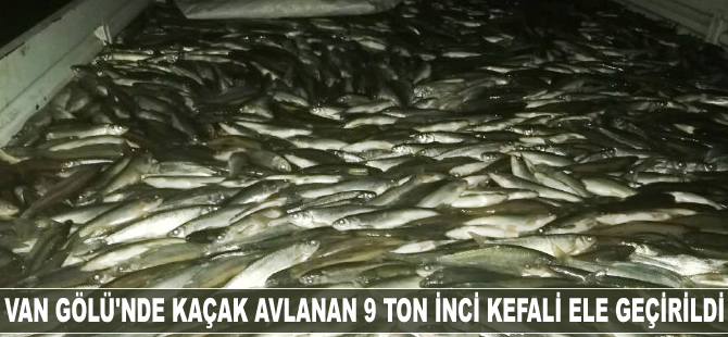 Van Gölü'nden kaçak avlanan 9 ton inci kefali ele geçirildi