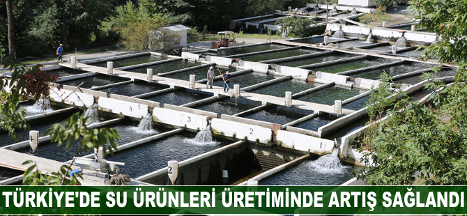 Türkiye'de su ürünleri üretiminde artış sağlandı