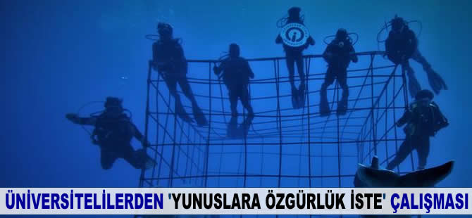 Üniversitelilerden, 'Yunuslara Özgürlük İSTE' çalışması