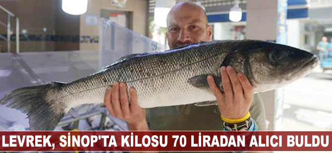 Levrek, Sinop'ta kilosu 70 liradan alıcı buldu