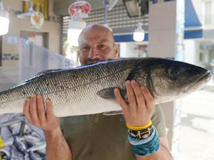 Levrek, Sinop'ta kilosu 70 liradan alıcı buldu