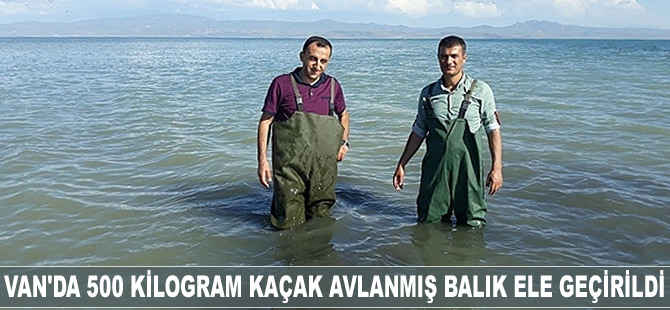 Van'da 500 kilogram kaçak avlanmış balık ele geçirildi