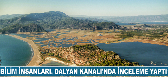 Bilim insanları, Dalyan Kanalı'nda inceleme yaptı