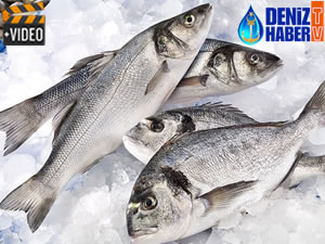 Balık ürünleri ticaret hacmi 145 milyar dolara ulaştı