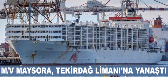 M/V MAYSORA, Tekirdağ Limanı’na yanaştı