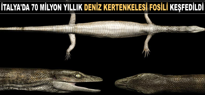 İtalya'da 70 milyon yıllık deniz kertenkelesi fosili keşfedildi