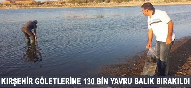 Kırşehir göletlerine 130 bin yavru balık bırakıldı