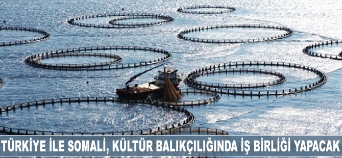 Türkiye ile Somali, kültür balıkçılığında iş birliği yapacak