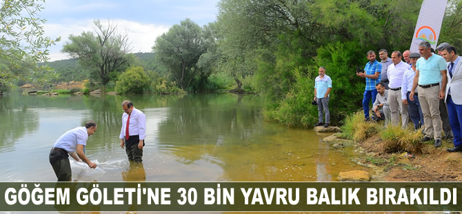 Uşak'ta Göğem Göleti'ne 30 bin yavru balık bırakıldı