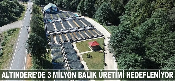 Altındere Alabalık Üretme İstasyonu, 3 milyon balık üretimi hedefliyor