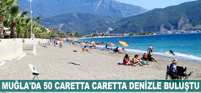 Muğla'da 50 caretta caretta denizle buluştu