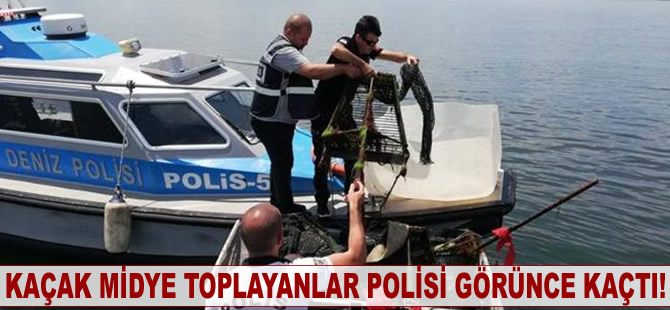 Kaçak midye toplayanlar polisi görünce kaçtı!