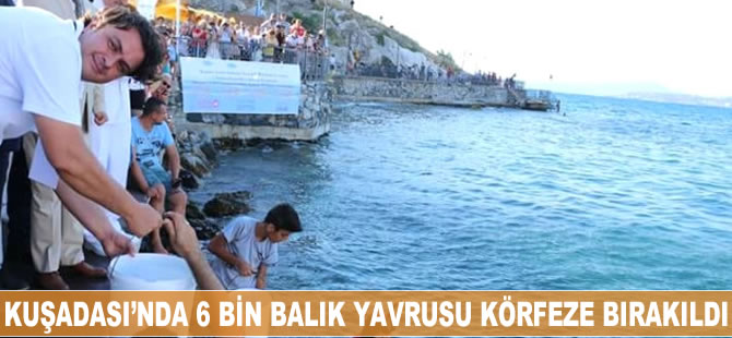 Kuşadası'nda 6 bin balık yavrusu körfeze bırakıldı