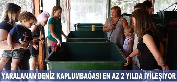 Yaralanan deniz kaplumbağası en az 2 yılda iyileşiyor