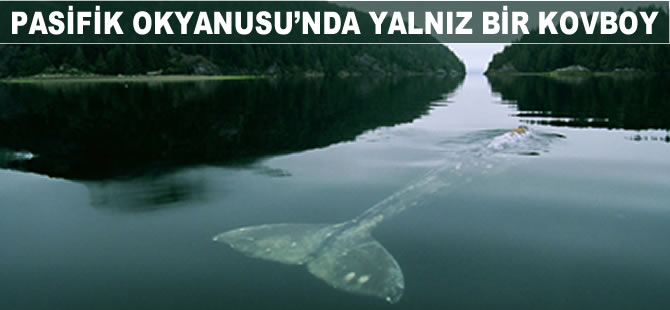 Pasifik Okyanusu'nda yalnız bir kovboy