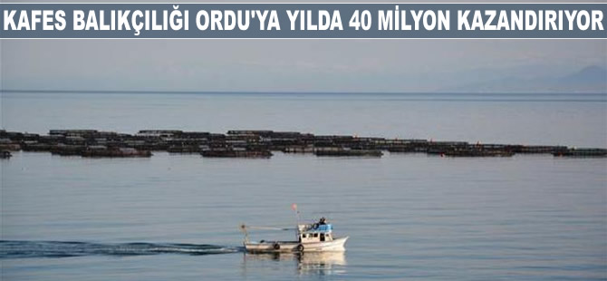 Kafes balıkçılığı Ordu'ya yılda 40 milyon kazandırıyor