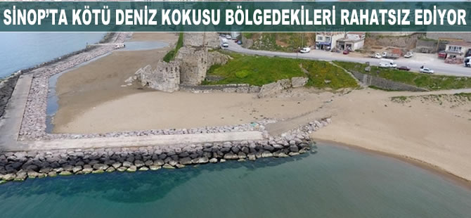 Sinop'ta kötü deniz kokusu vatandaşları rahatsız ediyor