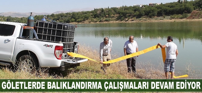 Göletlerde balıklandırma çalışmaları devam ediyor