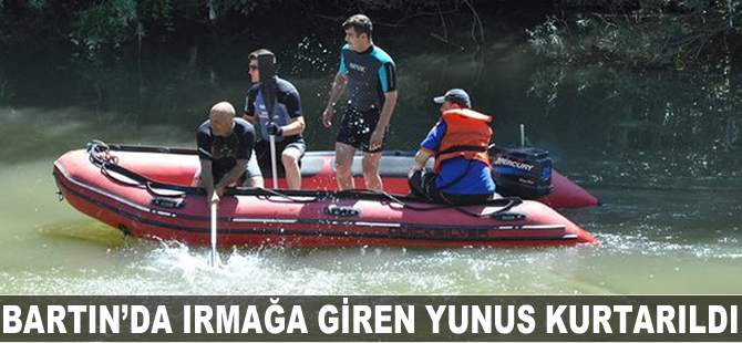 Bartın'da ırmağa giren yunus için kurtarma çalışması başlatıldı