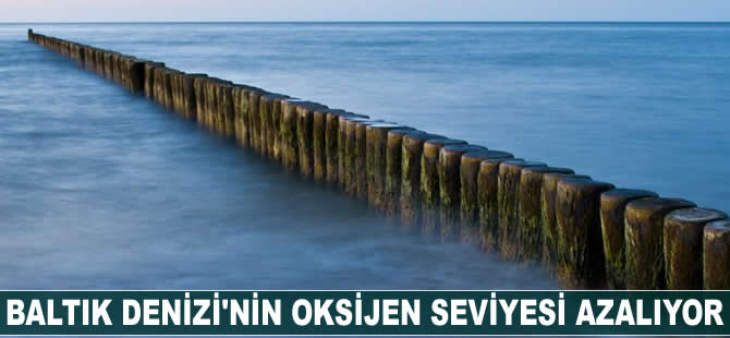 Baltık Denizi’nin oksiyen seviyesi azalıyor