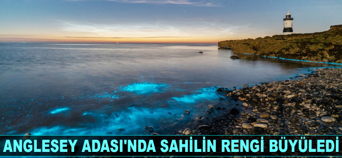 Anglesey Adası'nda sahil mavi renge büründü