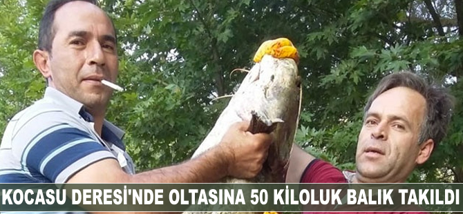 Suya attığı oltasına 50 kiloluk balık takıldı