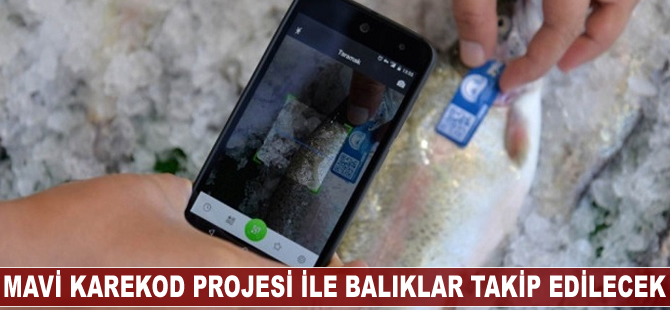 Mavi Karekod Projesi ile balıklar takip edilecek