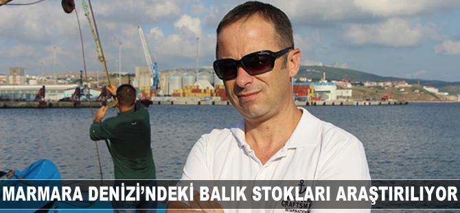 Marmara Denizi'ndeki balık stokları araştırılıyor