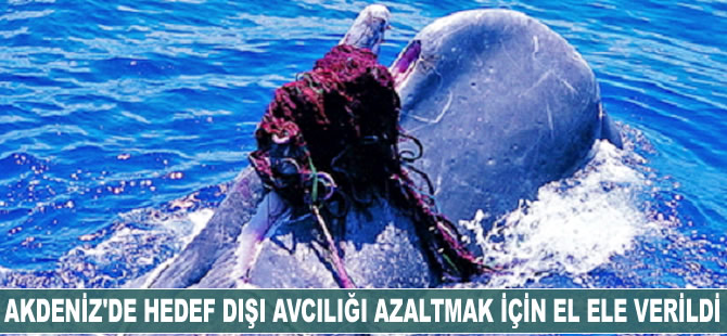 Akdeniz’de hedef dışı avcılığı azaltmak için el ele verildi