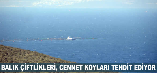 Balık çiftlikleri cennet koyları tehdit ediyor