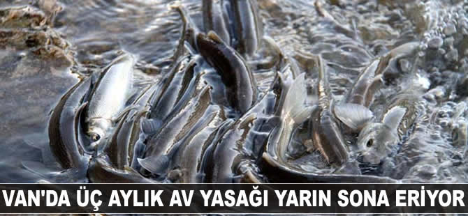 Van'da av yasağı sona eriyor