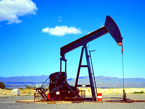 İngiliz Savannah Nijer’de petrol keşfetti