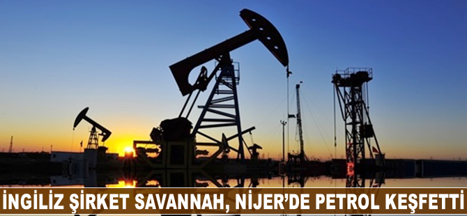 İngiliz Savannah Nijer’de petrol keşfetti