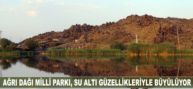 Ağrı Dağı Milli Parkı, su altı güzellikleriyle büyülüyor