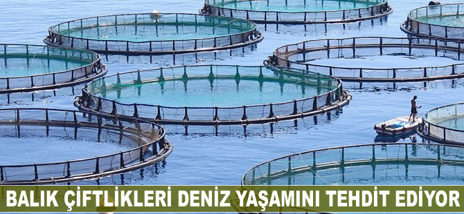 Balık çiftlikleri deniz yaşamını tehdit ediyor