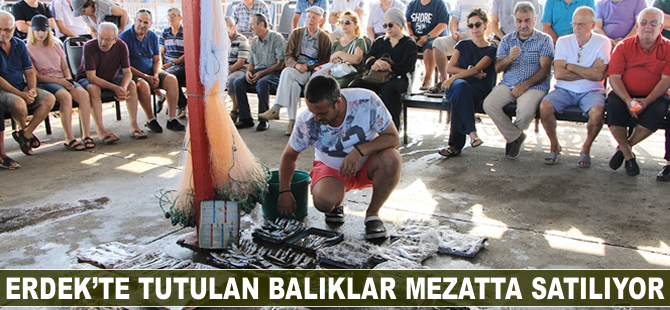Erdek'te balık mezatı düzenleniyor