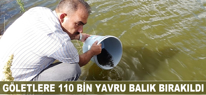 Göletlere 110 bin yavru balık bırakıldı