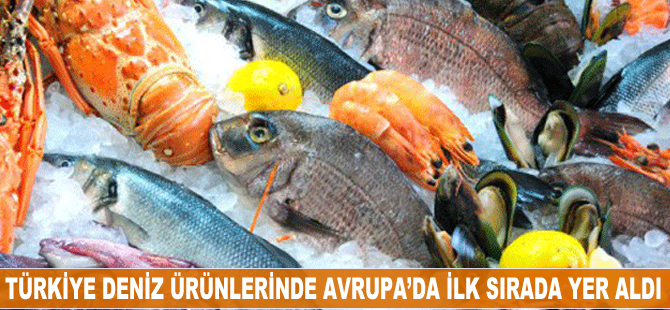 Türkiye deniz ürünlerinde Avrupa'da ilk sırada yer aldı