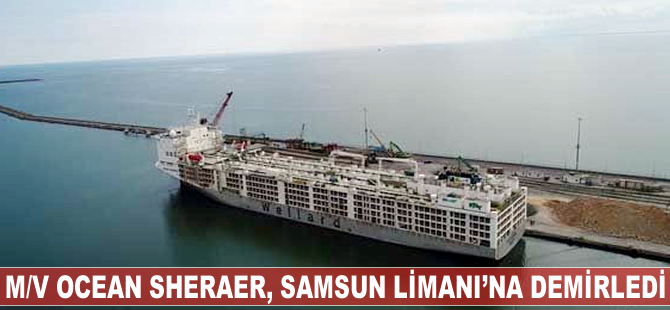 M/V OCEAN SHEARER Samsun Limanı'na demirledi