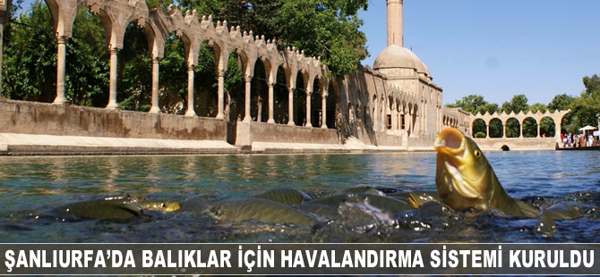 Şanlıurfa'da balıklar için havalandırma sistemi kuruldu