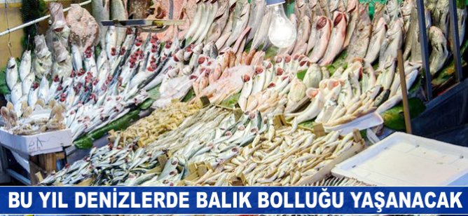 Bu yıl denizde balık bolluğu olacak