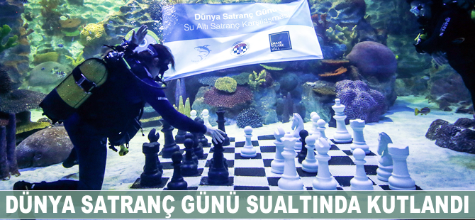 Dünya Satranç Günü su altında kutlandı