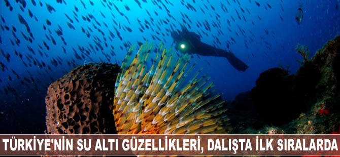 Türkiye'nin su altı güzellikleri, dalışta ilk sıralarda