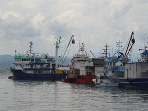 Fas, AB ile balıkçılık anlaşmasını yeniledi