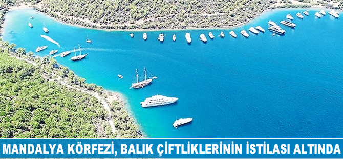 Mandalya Körfezi, balık çiftliklerinin istilası altında