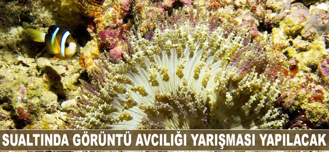 Sualtında Görüntü Avcılığı Yarışması yapılacak