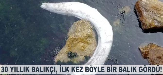 30 yıllık balıkçı ilk kez böyle bir balık gördü!