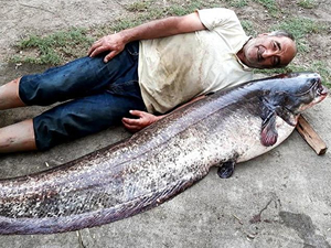 İznik Gölü’nde 2 metre boyunda yayın balığı yakaladı
