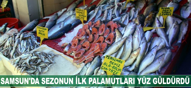 Sezonun ilk palamutları yüz güldürdü